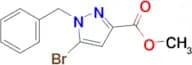 METHYL 1-BENZYL-5-BROMOPYRAZOLE-3-CARBOXYLATE
