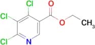ETHYL 4,5,6-TRICHLORONICOTINATE
