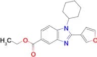 ETHYL 1-CYCLOHEXYL-2-(FURAN-3-YL)-1H-BENZO[D]IMIDAZOLE-5-CARBOXYLATE