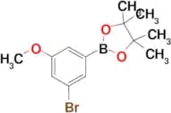 2-(3-BROMO-5-METHOXYPHENYL)-4,4,5,5-TETRAMETHYL-1,3,2-DIOXABOROLANE