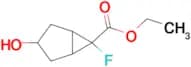 ETHYL 6-FLUORO-3-HYDROXYBICYCLO[3.1.0]HEXANE-6-CARBOXYLATE