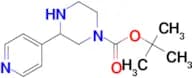 TERT-BUTYL 3-(PYRIDIN-4-YL)PIPERAZINE-1-CARBOXYLATE