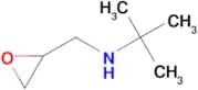 2-METHYL-N-((OXIRAN-2-YL)METHYL)PROPAN-2-AMINE