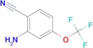 2-AMINO-4-TRIFLUOROMETHOXYLBENZONITRILE