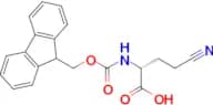 (R)-2-FMOC-AMINO-4-CYANOBUTYRIC ACID