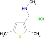 [(2,5-dimethyl-3-thienyl)methyl]methylamine hydrochloride