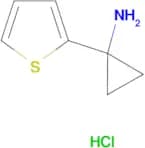 [1-(2-thienyl)cyclopropyl]amine hydrochloride
