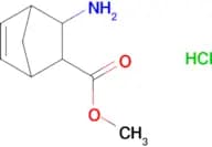 Methyl 3-aminobicyclo[2.2.1]hept-5-ene-2-carboxylate hydrochloride