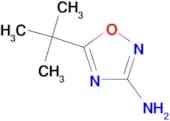 5-tert-butyl-1,2,4-oxadiazol-3-amine