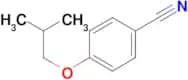 4-iso-Butoxybenzonitrile