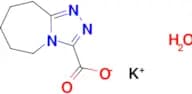 potassium 6,7,8,9-tetrahydro-5H-[1,2,4]triazolo[4,3-a]azepine-3-carboxylate hydrate