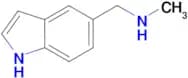 N-(1H-Indol-5-ylmethyl)-N-methylamine