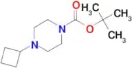 tert-Butyl 4-Cyclobutylpiperazine-1-carboxylate