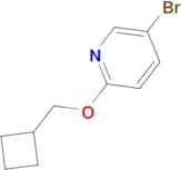 5-Bromo-2-(cyclobutylmethoxy)pyridine