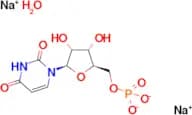 5′-Uridylic acid disodium salt xhydrate