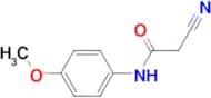 2-cyano-N-(4-methoxyphenyl)acetamide