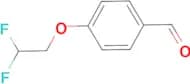 4-(2,2-difluoroethoxy)benzaldehyde