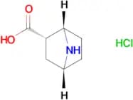 rac-(1S,2S,4R)-7-azabicyclo[2.2.1]heptane-2-carboxylic acid hydrochloride