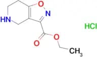 Ethyl 4,5,6,7-tetrahydroisoxazolo[4,5-c]pyridine-3-carboxylate hydrochloride