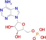 Adenosine 5′-monophosphate