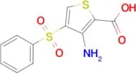 3-Amino-4-(phenylsulfonyl)thiophene-2-carboxylic acid