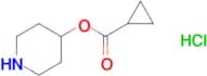 Piperidin-4-yl cyclopropanecarboxylate hydrochloride