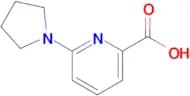 6-(Pyrrolidin-1-yl)picolinic acid