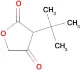 3-(tert-Butyl)-4-hydroxyfuran-2(5H)-one