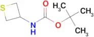 tert-Butyl thietan-3-ylcarbamate