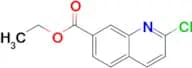 Ethyl 2-chloroquinoline-7-carboxylate
