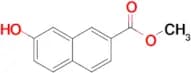 Methyl 7-hydroxy-2-naphthoate