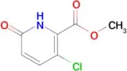 Methyl 3-chloro-6-oxo-1,6-dihydropyridine-2-carboxylate