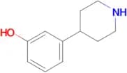 3-(Piperidin-4-yl)phenol