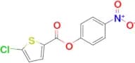 4-Nitrophenyl 5-chlorothiophene-2-carboxylate