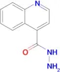 Quinoline-4-carbohydrazide
