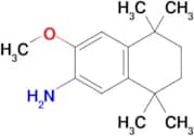 3-Methoxy-5,5,8,8-tetramethyl-5,6,7,8-tetrahydronaphthalen-2-amine