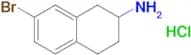 7-Bromo-1,2,3,4-tetrahydronaphthalen-2-amine hydrochloride