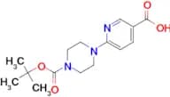 6-(4-(tert-Butoxycarbonyl)piperazin-1-yl)nicotinic acid