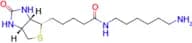 N-(6-Aminohexyl)-5-((3aS,4S,6aR)-2-oxohexahydro-1H-thieno[3,4-d]imidazol-4-yl)pentanamide