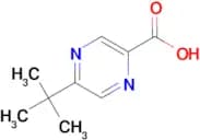 5-(tert-Butyl)pyrazine-2-carboxylic acid