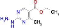 Ethyl 2-hydrazinyl-4-methylpyrimidine-5-carboxylate