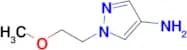 1-(2-Methoxyethyl)-1H-pyrazol-4-amine