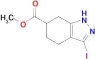 Methyl 3-iodo-4,5,6,7-tetrahydro-1H-indazole-6-carboxylate