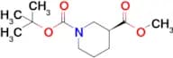 (S)-1-tert-Butyl 3-methyl piperidine-1,3-dicarboxylate