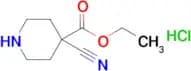 Ethyl 4-cyanopiperidine-4-carboxylate hydrochloride