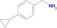(4-CYCLOPROPYLPHENYL)METHANAMINE