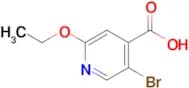 5-BROMO-2-ETHOXYISONICOTINIC ACID