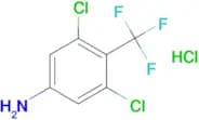 3,5-Dichloro-4-(trifluoromethyl)aniline hydrochloride