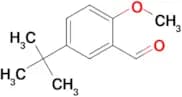 5-TERT-BUTYL-2-METHOXYBENZALDEHYDE