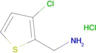 2-AMINOMETHYL-3-CHLOROTHIOPHENE HCL